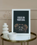 Focus on Your Goals