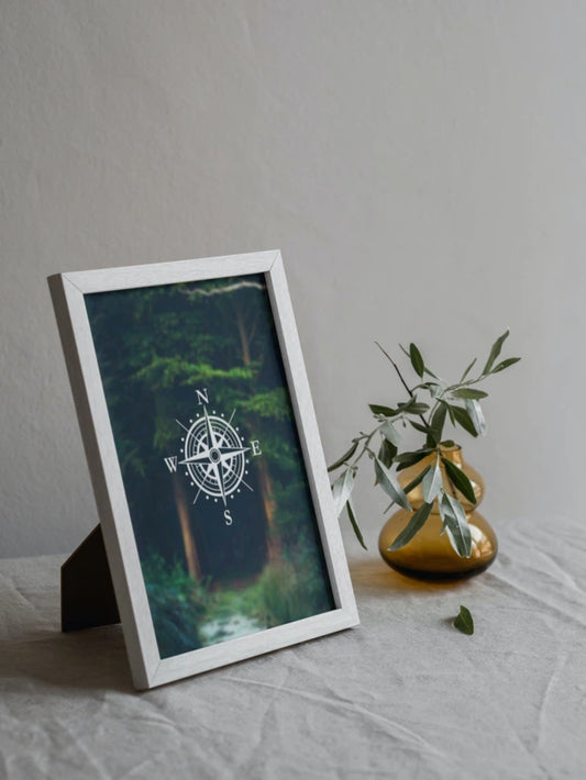 Travel Compass
